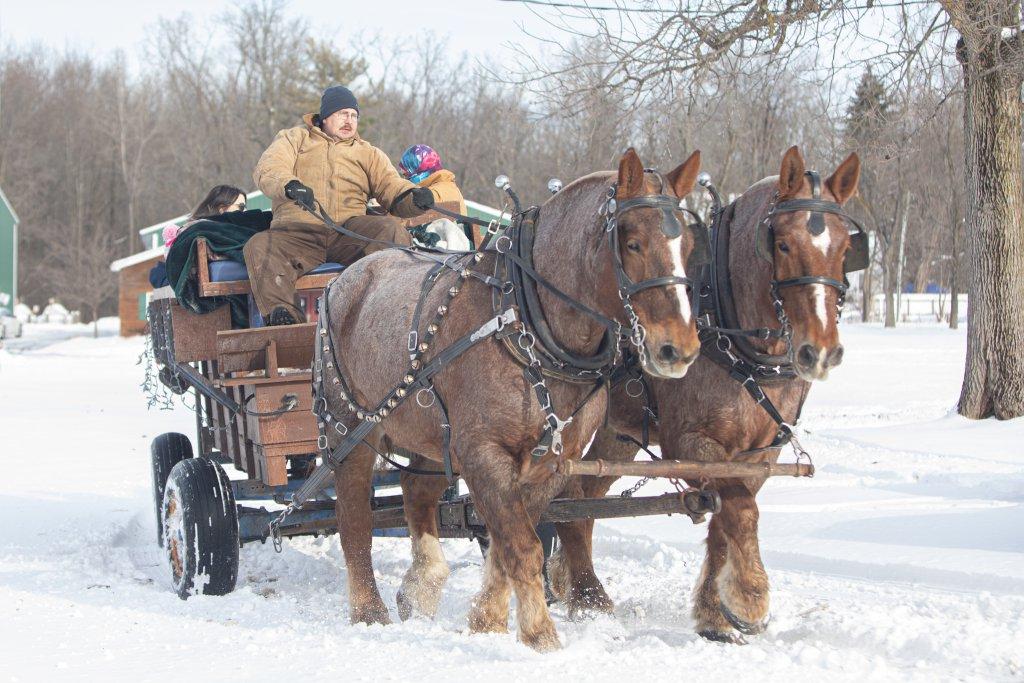 Holiday Event...horse drawn carriage in the snow