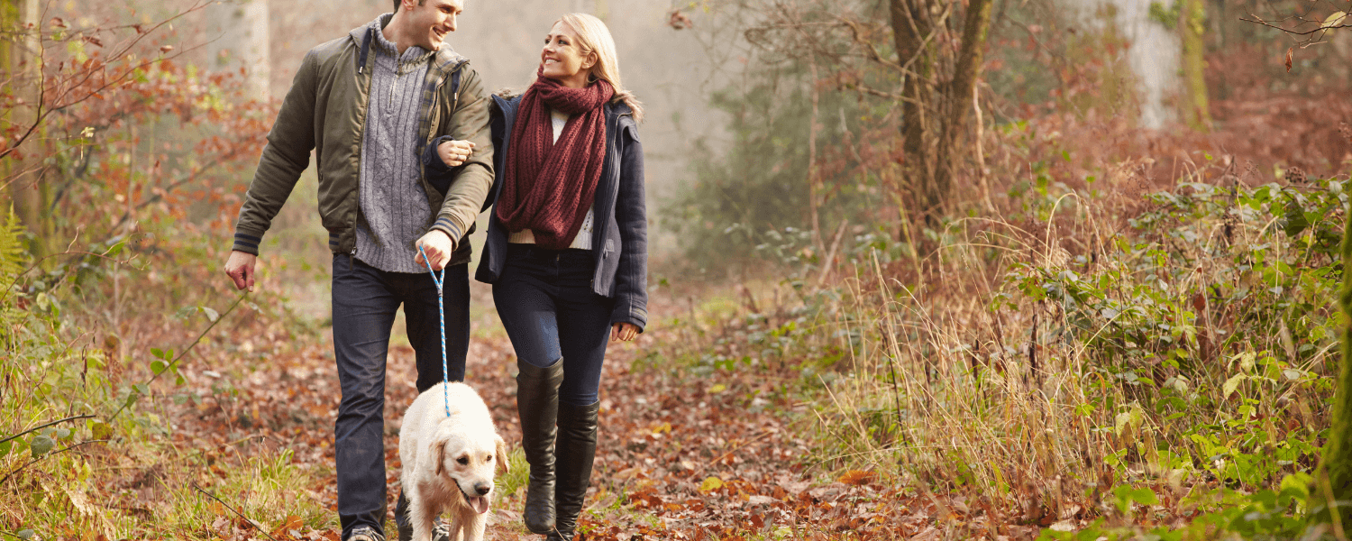 a women and a man walking a dog on a trail in the fall